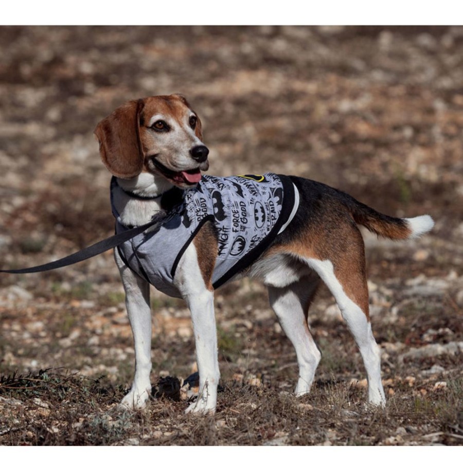 CERDu00c1 Hundekleidung Batman Haustiere