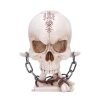 NNM Dekoration Skull - The Reckoning Figuren