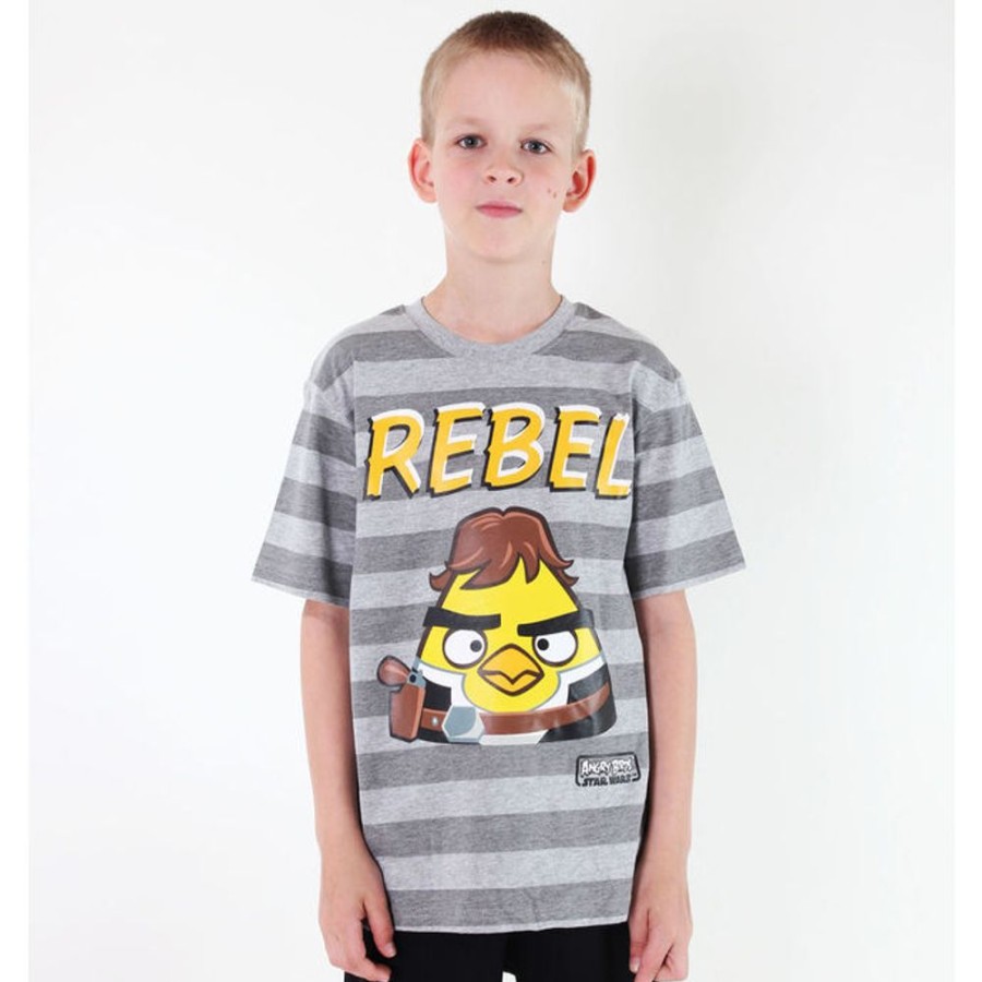 TV MANIA T-Shirt Fu00Fcr Jungen Tv Mania - Angry Birds / Star Wars - Grau Film T-Shirts