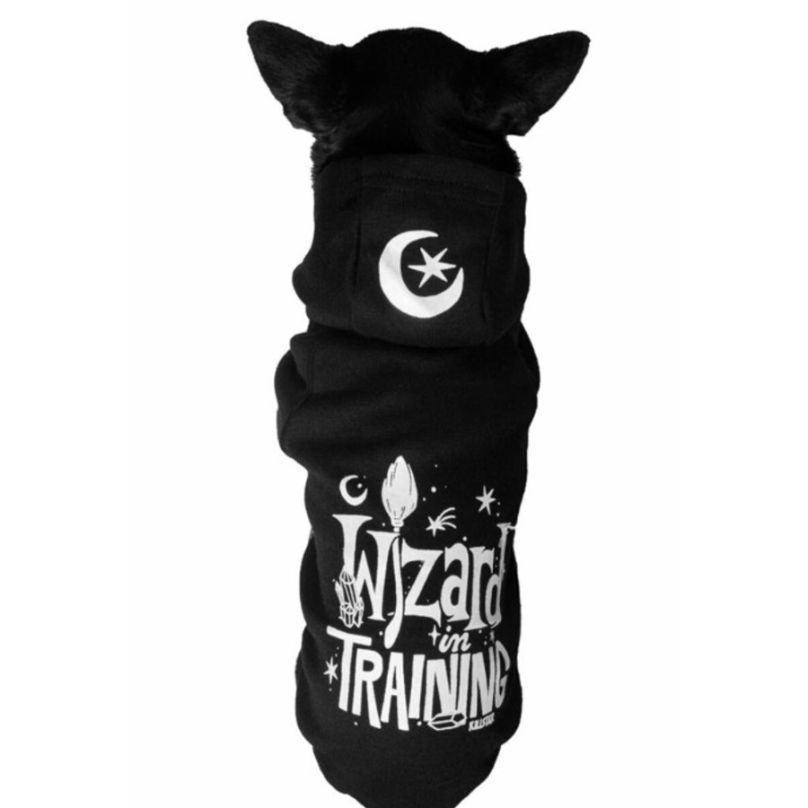 KILLSTAR Hundeanzug Hundeoutfit Killstar - Wizard In Trining - Schwarz Haustiere