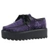 KILLSTAR Damenstiefel Killstar - Vampires Kiss Creepers - Pflaume Keilschuhe