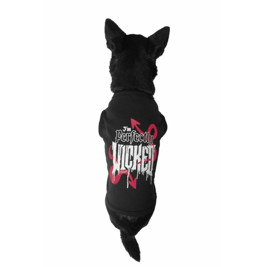 KILLSTAR Hundeanzug Hundeoutfit Killstar - Wicked - Schwarz Haustiere